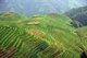 China: Longji (Dragon's Backbone) Terraced Rice Fields, Longsheng Rice Terraces, Longsheng County, Guangxi Province